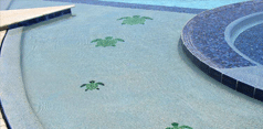 Picture of a recent custom designed swimming pool for a Mesa client